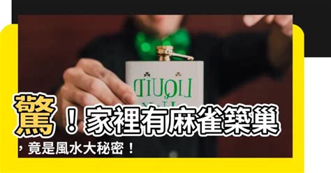 家裡有麻雀築巢